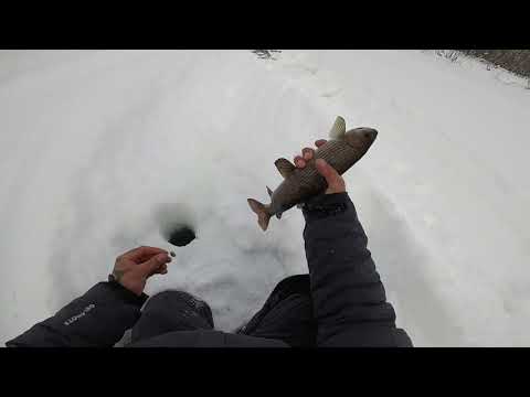 Видео: Рыбалка.ТРОФЕЙ ещё ТРОФЕЙ..Спасибо Эвенкия! Часть 2.
