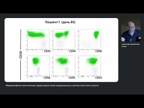 Видео: Иммунофенотипическая характеристика нормальных клеток костного мозга. Александр Михайлович Попов
