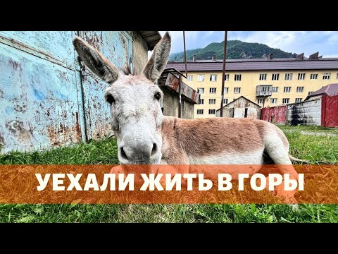 Видео: ИЮНЬ В ПРИЭЛЬБРУСЬЕ. Уехали жить в горы. Сезон 2024