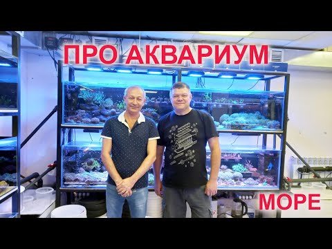 Видео: Про аквариум