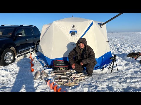 Видео: КОРГАЛЖЫН СУЛТАНГЕЛДЫ#рыбалка #врек #fishing #щуказимой #щука #рыба #заповедник #палатка #кайфули