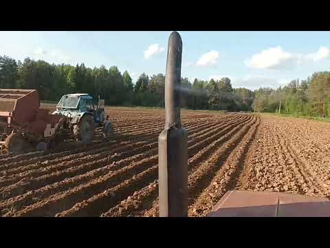 Видео: Посадка картофеля .Мтз-82 с Ксм4