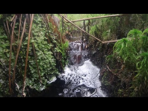 Видео: #217 Мормышинг | Торфяной ручей | Ручьевая форель |