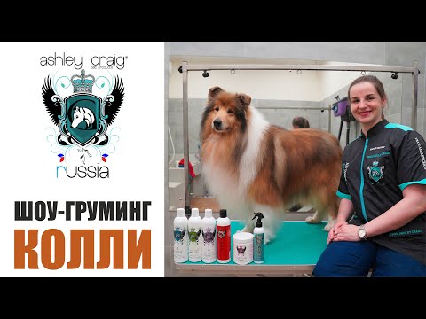Видео: ШОУ-ГРУМИНГ КОЛЛИ ДЛИННОШЕРСТНОГО / #ASHLEYCRAIG