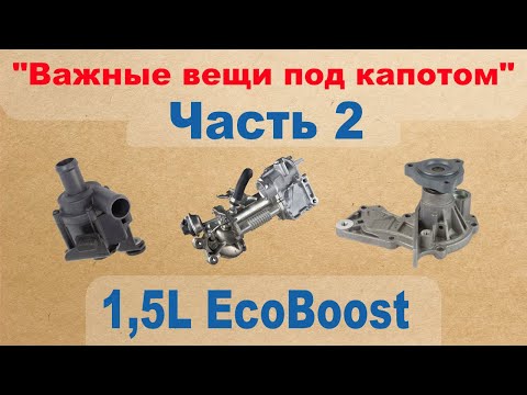 Видео: Важные вещи под капотом: 1,5L EcoBoost - Часть 2