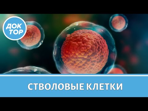 Видео: Лечение стволовыми клетками: за и против