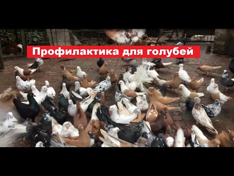 Видео: Несколько слов о яблочном уксусе