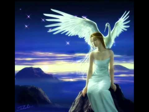 Видео: Андрей Сапунов Птицы белые мои