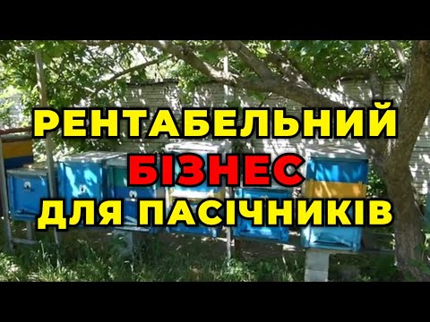 Видео: Продам матковивідну пасіку як бізнес!