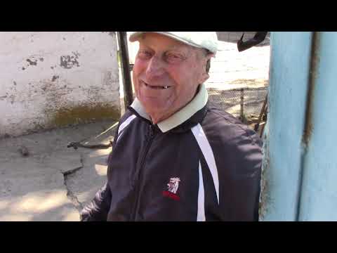 Видео: голуби Козлов А.Н(Туляк)город Курахово