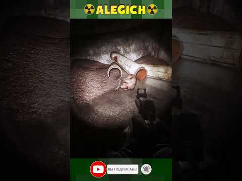 Видео: На химере не сработало. Прохождение STALKER ANOMALY 1.5.3 GAMMA 0.9.4