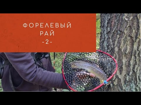 Видео: #27 #форель  #ультралайт Форелевый рай. Выпуск №2