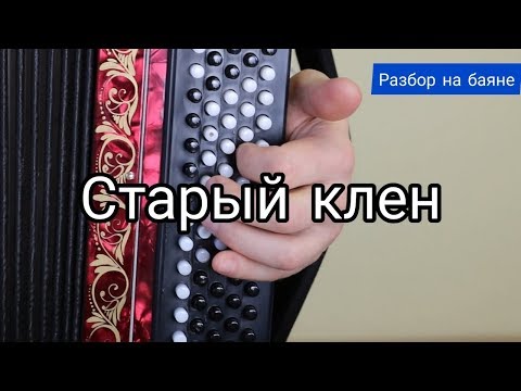 Видео: Старый клен. Разбор на баяне. #баянист_Евгений_Попов