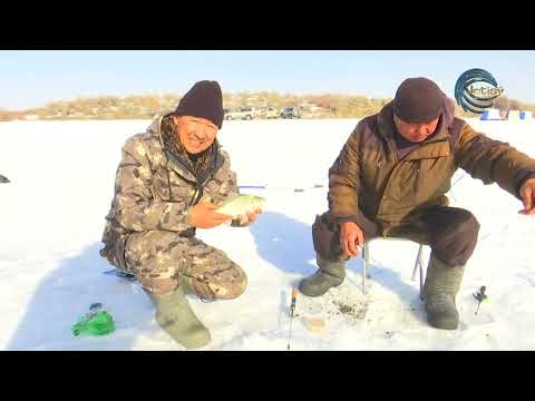 Видео: КЕЛТЕ КӨЛІ / ОЛЖА / 17.02.2024