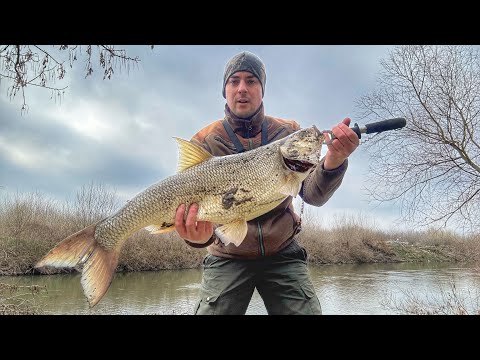 Видео: 🐟Екстремни Распер от р.Марица. Риболов на распер. | Extreme Asp fishing. 🐟