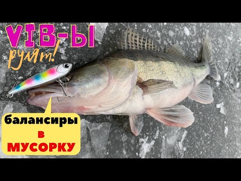 Видео: Судак разорвал VIBы! Раздача судака на ВИБЫ со льда. Виб - супер-приманка для судака. VIB