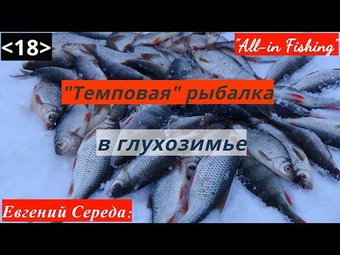 Видео: Темповая рыбалка в глухозимье. "All-in Fishing". Вып. 18.