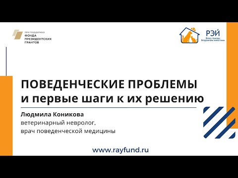 Видео: Поведенческие проблемы и первые шаги к их решению