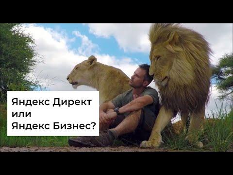 Видео: Яндекс Бизнес и Яндекс Директ - что выбрать и почему?