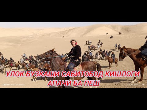 Видео: 💥САБИТОБОДА. 💥АПАЧИ КИШЛОГИДА БУЗКАШ И УЛОК БУЛИБ 💯УТИ ЖИГАРЛАР АПАЧИ БА ПЕШ ГЗИНИ 💥БОСИНГИЗЛАР 💯