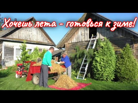Видео: Нам зима не страшна! По-тихому берём природный утеплитель 🤫
