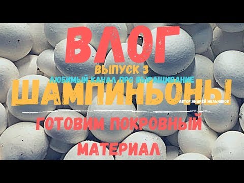 Видео: ВЛОГ выпуск 3. Выращивание шампиньона, вентиляция, Первая волна
