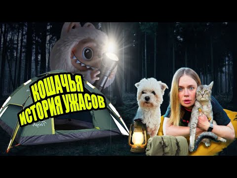 Видео: ПРЯЧЬСЯ ОТ ЛАБУБЫ В ПОЛНОЛУНИЕ | КОШАЧЬЯ ИСТОРИЯ УЖАСОВ