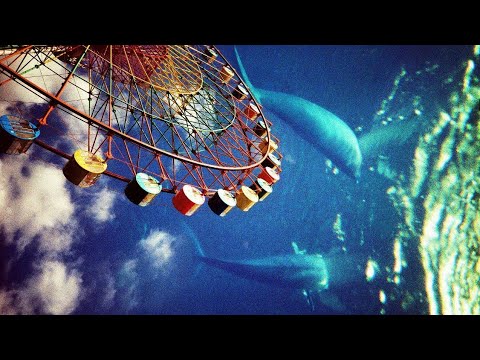 Видео: Ломография Магия Кривых Кадров