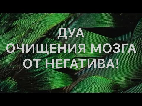 Видео: ДУА- ОЧИЩЕНИЯ МОЗГА- ОТ НЕГАТИВА!✅ПОДПИСИВАЙТЕСЬ✅