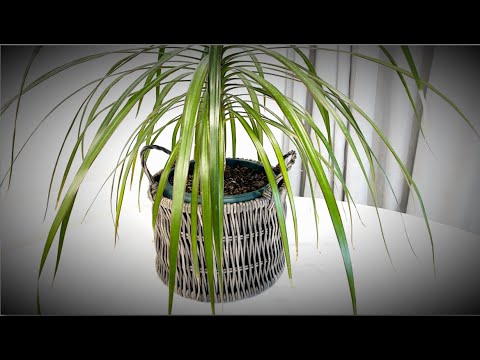 Видео: Плетем корзинку как в ZARA home.