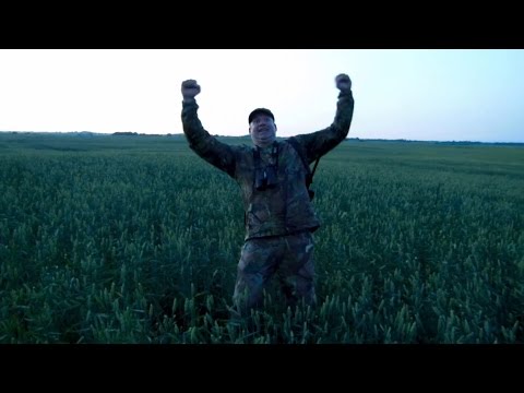 Видео: Охота на кабана. С подхода. Удачно!