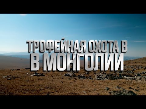 Видео: Трофейная охота в Монголии | Алтайский аргали, Гобийский, Алтайский и Хангайский козерог.