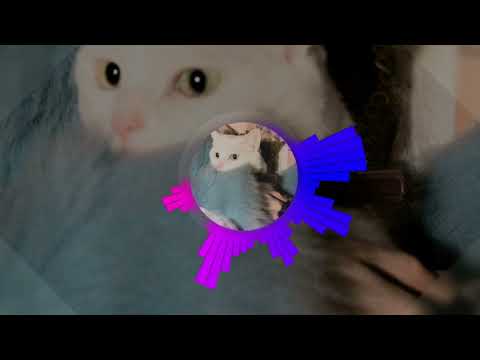 Видео: HOFMANNITA & BAPEZAYKA - НЕ ЛЮБЛЮ (slowed)