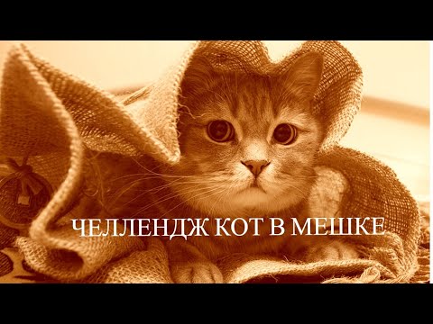 Видео: Челлендж Кот в мешке возвращается из отпуска Сентябрь 2025