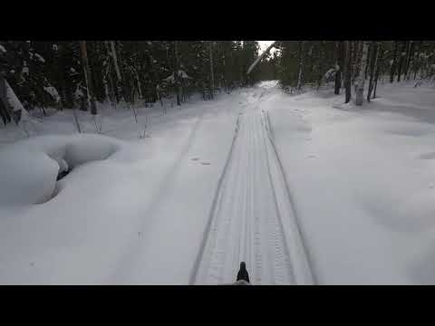 Видео: Снегоход буран с двигателем ока.