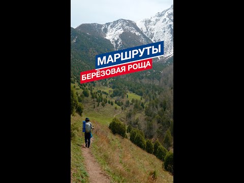 Видео: Берёзовая роща | Лёгкий маршрут для ХАЙКИНГА в БИШКЕКЕ