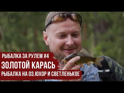 Видео: ЗОЛОТОЙ КАРАСЬ \ Рыбалка на оз.Юхор и Светленькое \ Рыбалка за рулем #4 \ #5