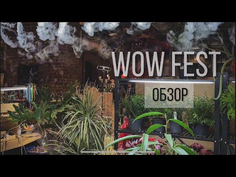 Видео: WOW FEST ОСЕНЬ 2025 ОБЗОР🪴#комнатныерастения #алоказия #монстера #растения  #ярмаркарастений