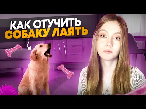 Видео: Отучить собаку ЛАЯТЬ — не так, как вам говорили (и почему)
