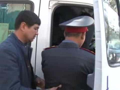 Видео: Тафсилоти куштори «таксист»