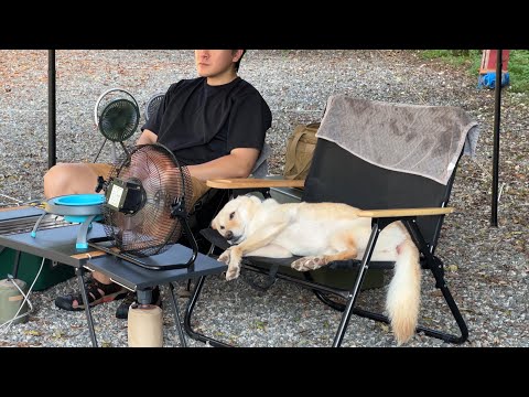Видео: Одиночный кемпинг с собакой, приятный кемпинг даже жарким летом