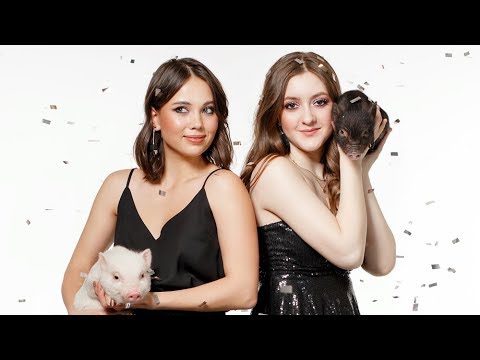 Видео: Фотосессия со свинкой Моникой