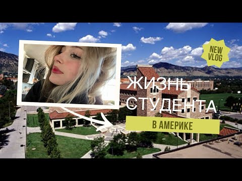 Видео: Жизнь в США. Общежитие и столовая в американском университете.