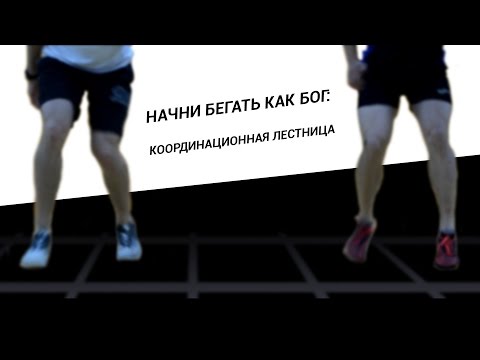 Видео: Начни бегать как Бог: координационная лестница
