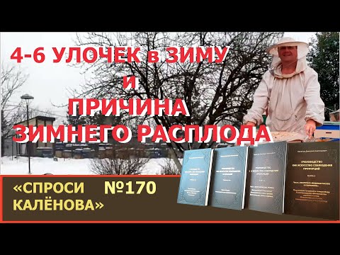 Видео: Зимовка малых семей. Причина появления зимнего расплода. "Спроси Калёнова" № 170. "Пчеловодство +"