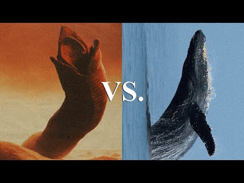 Видео: Парадокс песчаного червя — Дюна