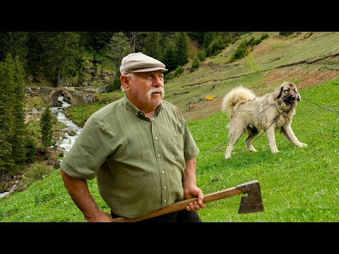 Видео: Миграция плато Кючук-аги | Документальный фильм
