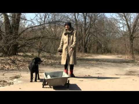 Видео: пгт.Полесское (Чернобыльская зона отчуждения)