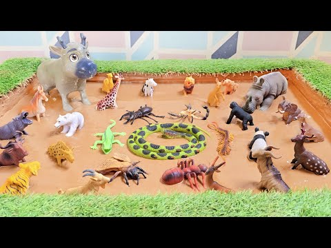 Видео: Дикие и грязные! Приключения в песочнице с животными, жуками и насекомыми джунглей 🐍🦅