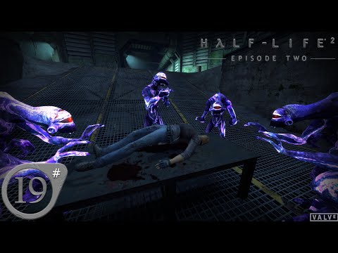 Видео: Half Life 2 #19 Кольцо вора